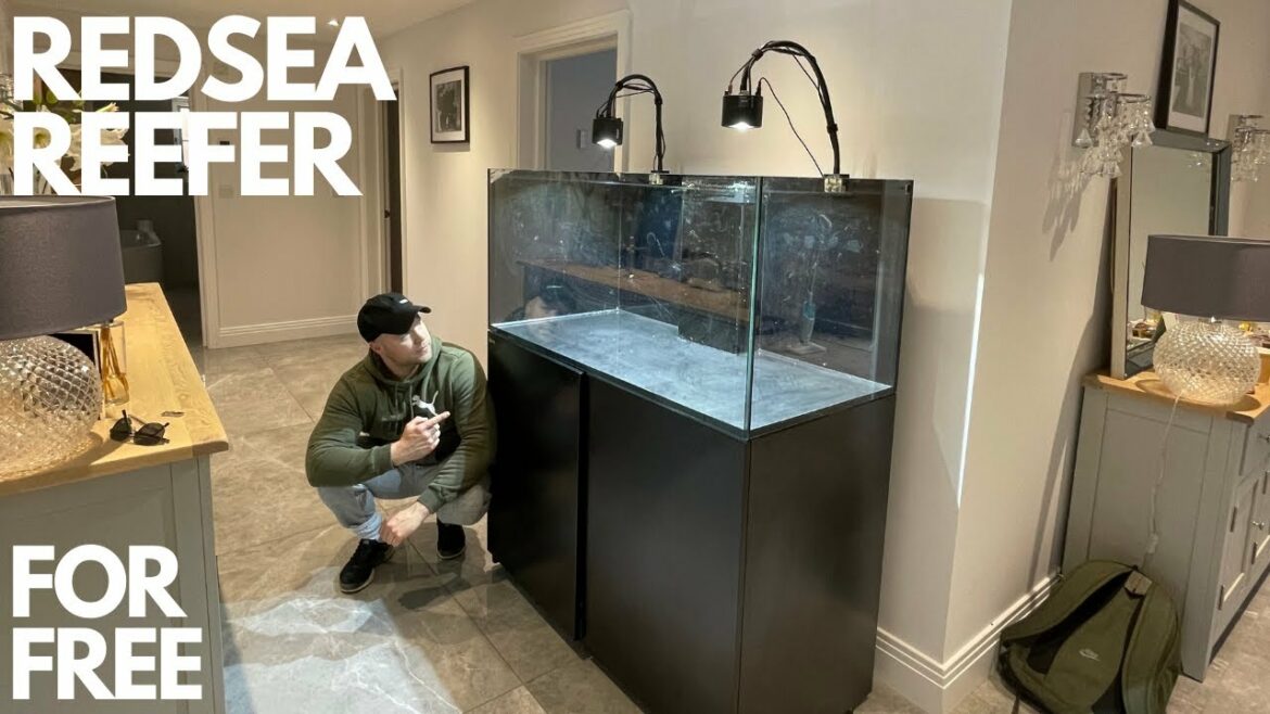 I HAVE JUST PICKED UP A RED SEA REEFER 425XL FOR FREE