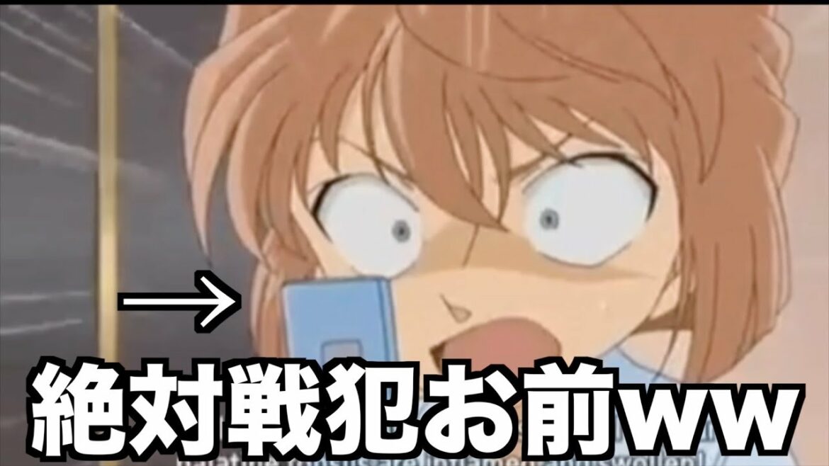 【名探偵コナン】コナンと灰原の頭脳ハラスメントが酷すぎるから見てくれwwww【ツッコミ】