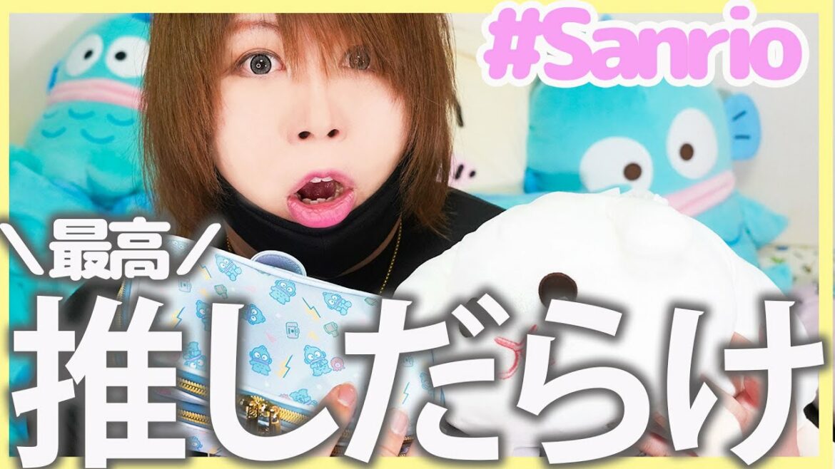 【購入品】ちいかわとサンリオグッズ買ってきたんだけどまさかの値段だった!!【アベイル購入品】