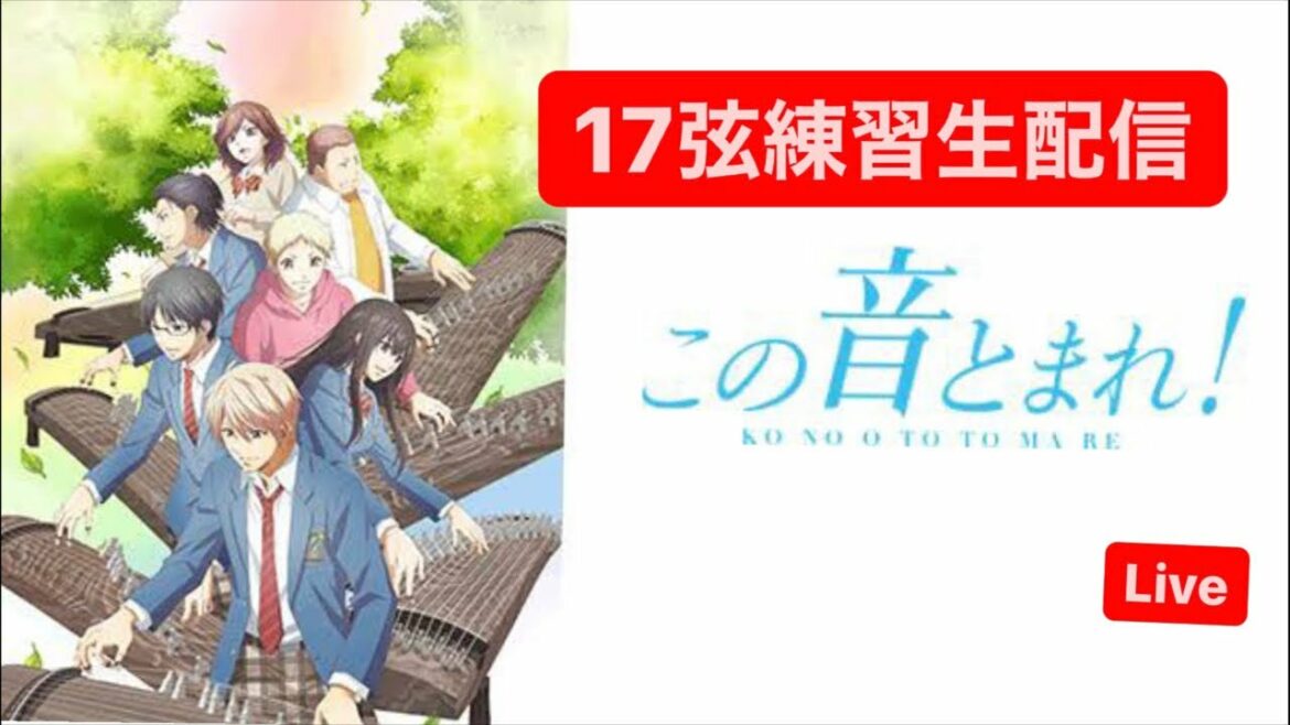 この音とまれ!『天泣』17弦は激ムズだから、配信で練習させてください🥺