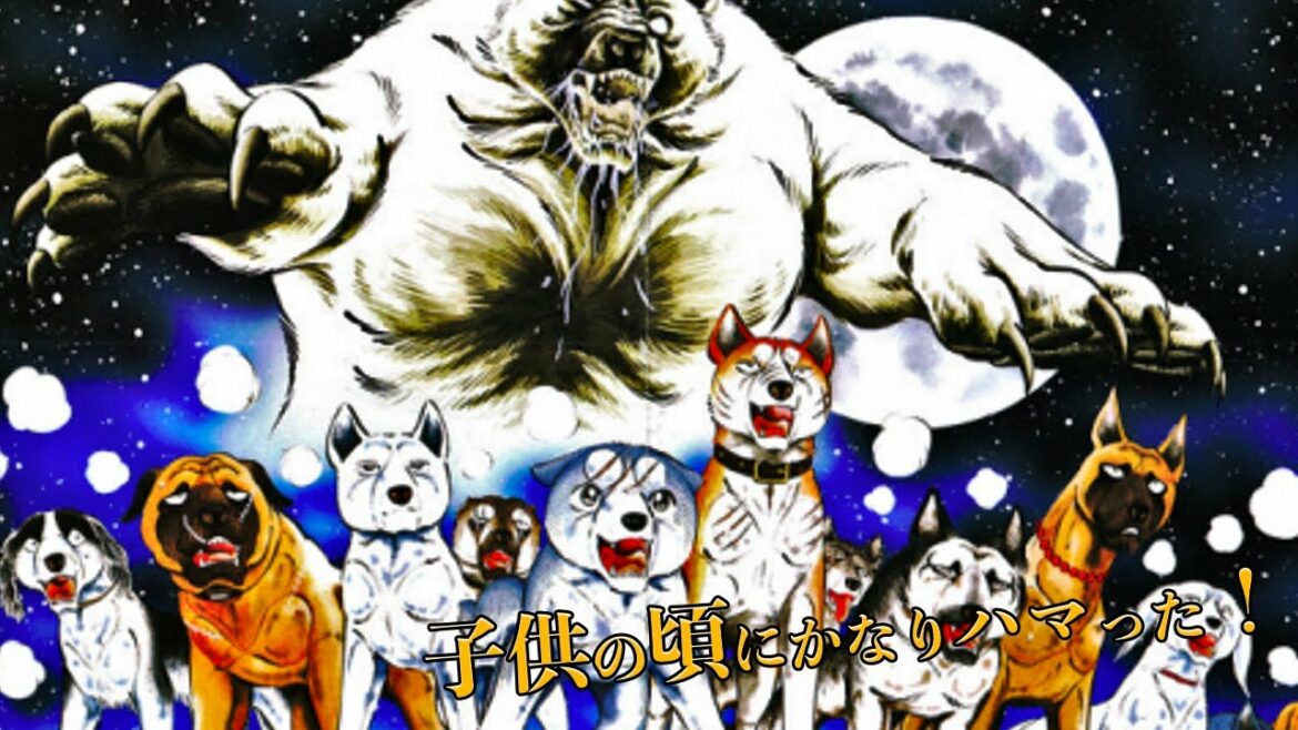 親日家になったきっかけだ!北欧でのみ爆発的な人気を誇る日本アニメが話題に 海外の反応