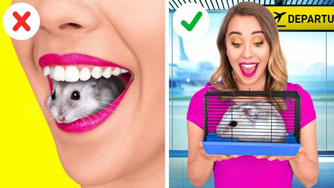 【閲覧注意】飛行機の中にこっそりペットを乗せる方法!123 GO!の面白いアイディア集!