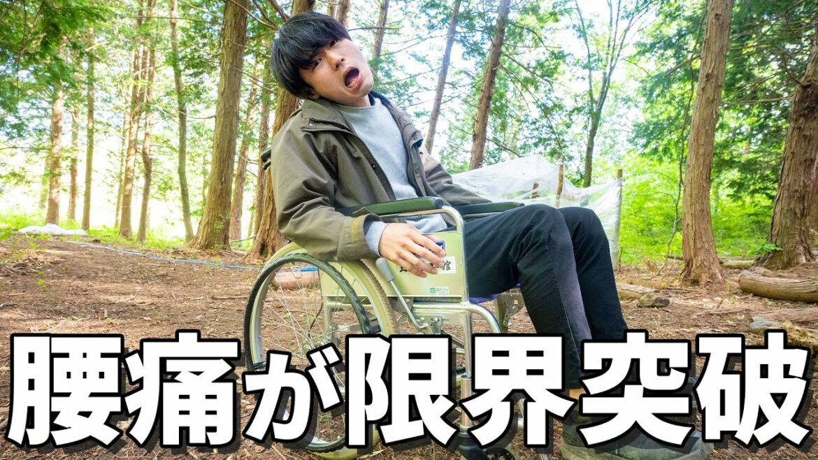 【撮影不可能】いぬたぬきの腰がもう限界です……