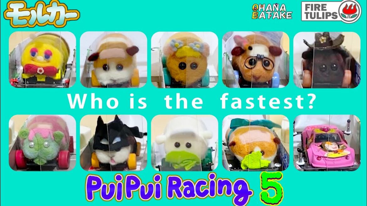 【PUI PUI レーシング-5-】