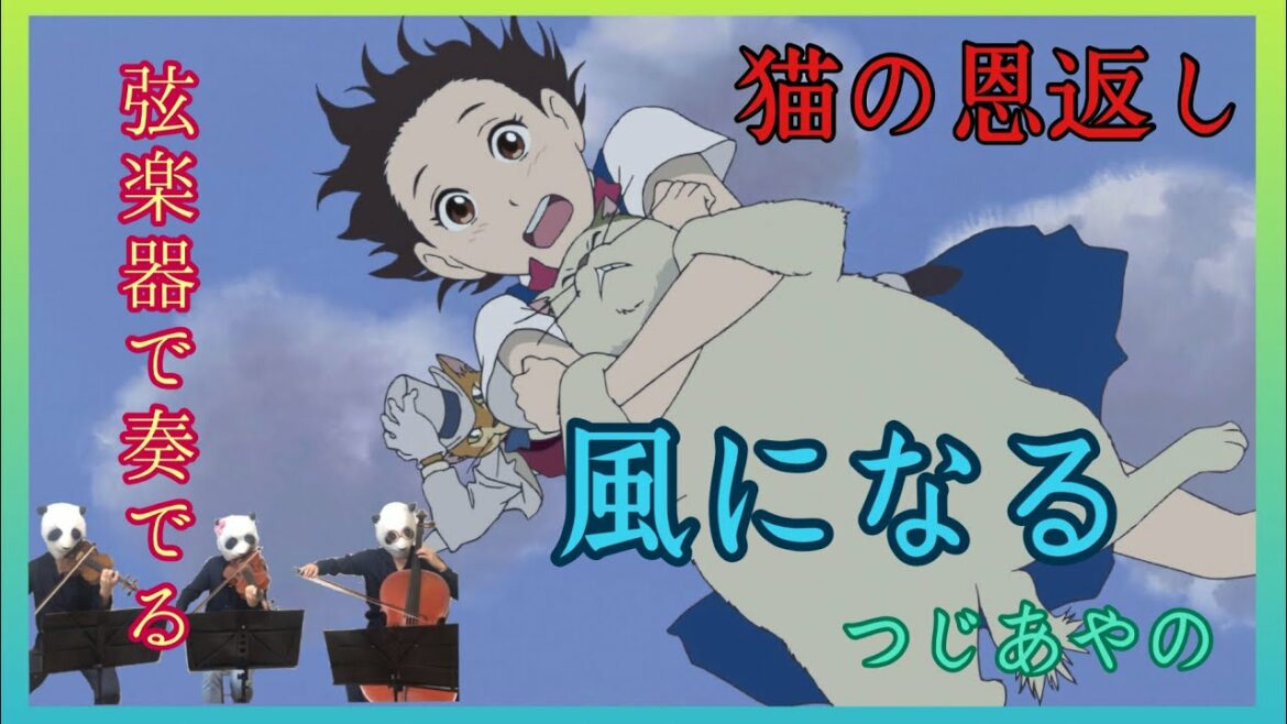 【猫の恩返し】風になる/つじあやの(バイオリン,ビオラ,チェロ)【弦楽三重奏】で弾いてみた!
