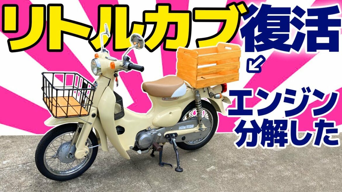 リトルカブ復活!エンジン分解した?【モトブログ】【スーパーカブ】HONDA Little Cub small motorcycle