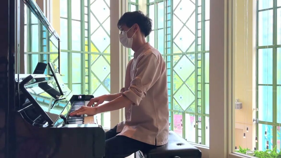 【ディズニーピアノ】『星に願いを(ピノキオ)』と『いつか王子様が(白雪姫)』を続けてどうぞ!【舞浜イクスピアリ】