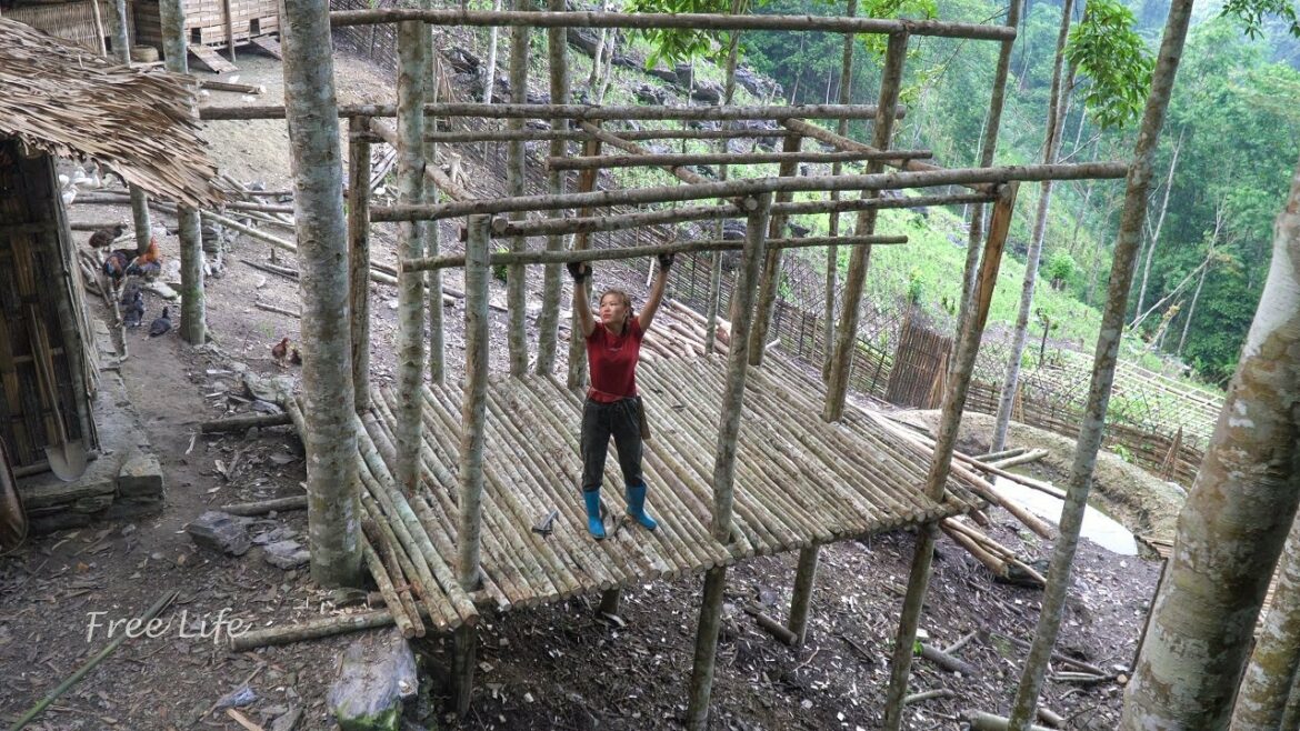 Off-grid wooden stilt house construction project | Building a new life, Free Life 2 episode 82