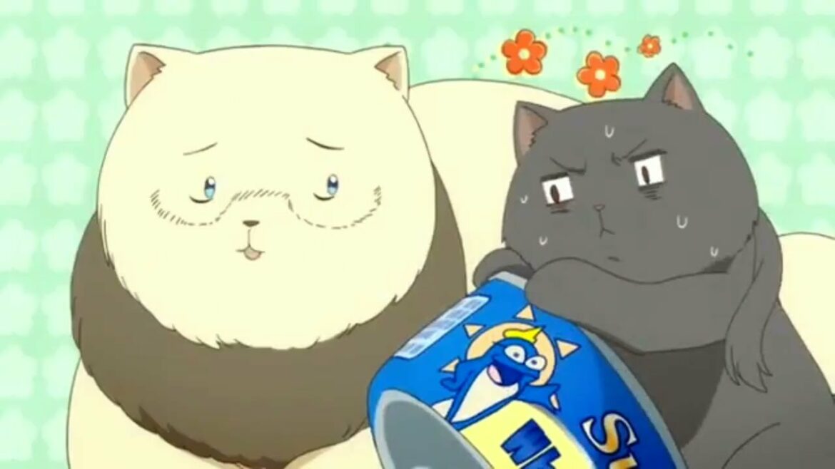 Hetalia(APH): The World Twinkle Episode  1  (Dubbed)  9/10