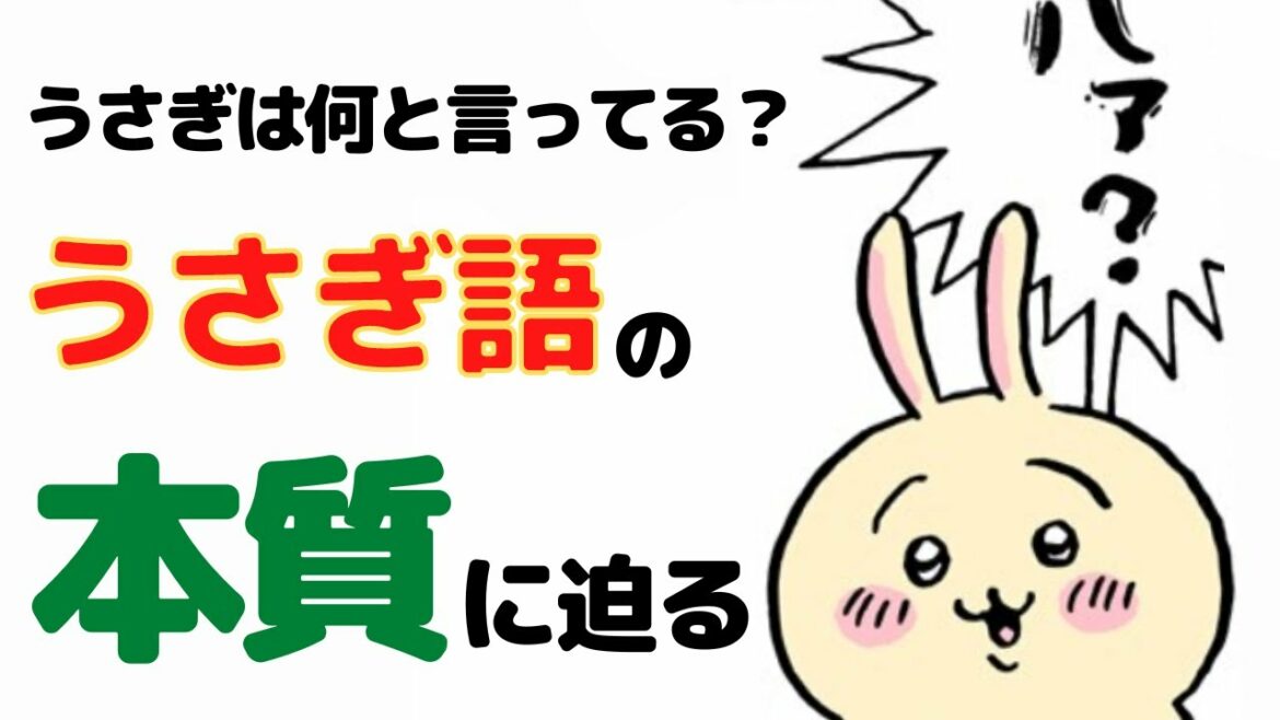 うさぎ語を徹底的に分析してみた【ちいかわ徹底解説】