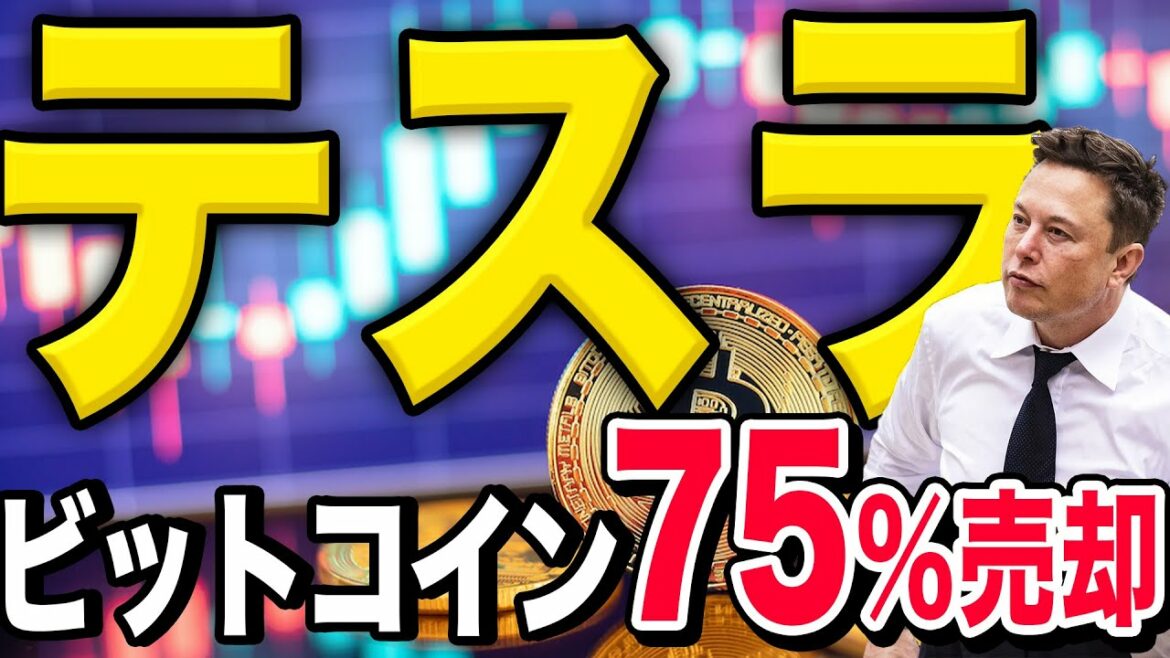 【メタバース#94】テスラがビットコイン75%売却!市場の影響は!?