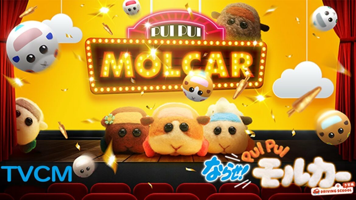 映画『ならせ!PUI PUI モルカー+DRIVING SCHOOL 予習編』TVCM