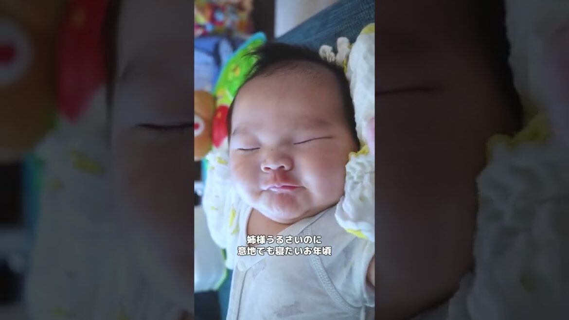 #今日のちびちん部長 #姉様の騒音に負けない編 #Shorts