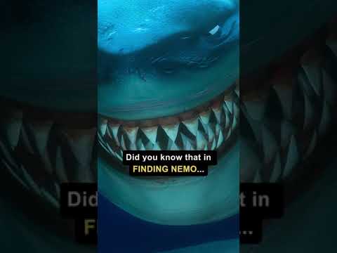 Did you know that in FINDING NEMO…