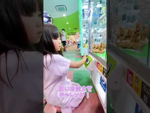 【ちいかわ】クレーンゲームでゲットできるの?らんちゃん6歳の挑戦!#shorts