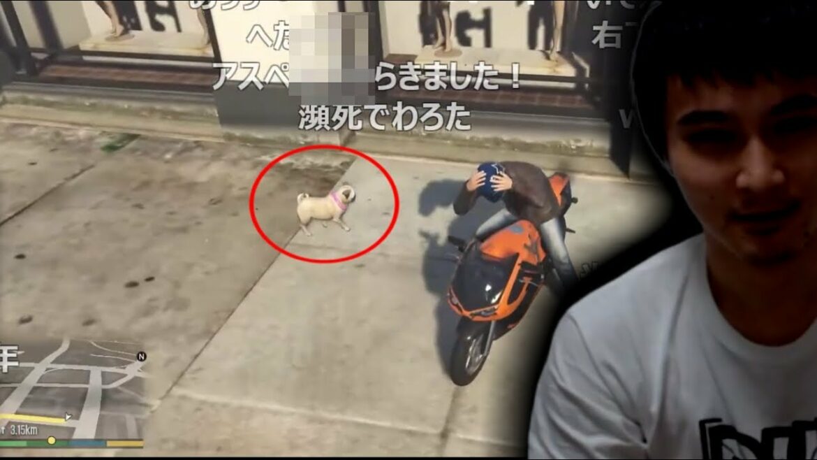 加藤純一、カワイイ犬が居るとある衝動に駆られてしまう【2021/07/15】