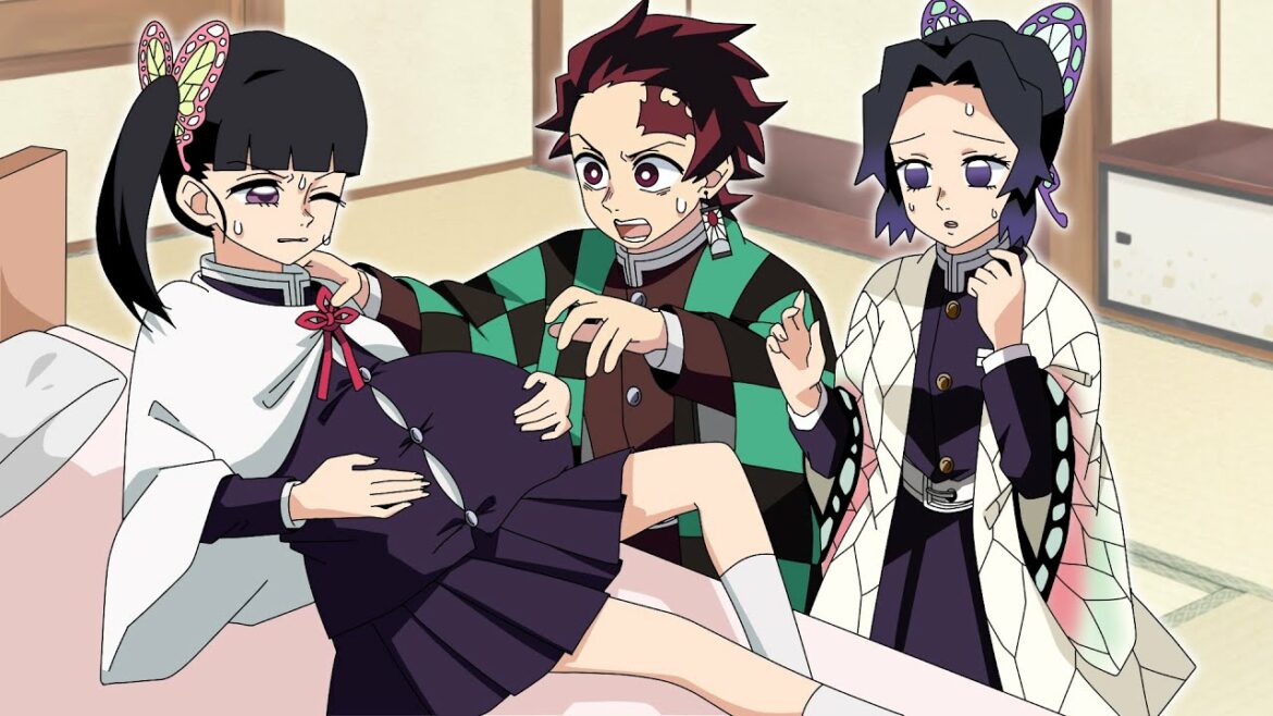 【鬼滅の刃】カナヲが鬼の子を妊娠し赤ちゃんが生まれる!?炭治郎がカナヲのお腹の中に出陣するも閉じ込められる!?【胡蝶しのぶ/禰豆子/声真似/きめつのやいば】