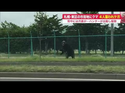 「死ぬかと思った」市街地でヒグマが大暴れ「後ろから襲われ引きずられた」…捜索から駆除までの一部始終 (21/06/18 20:40)