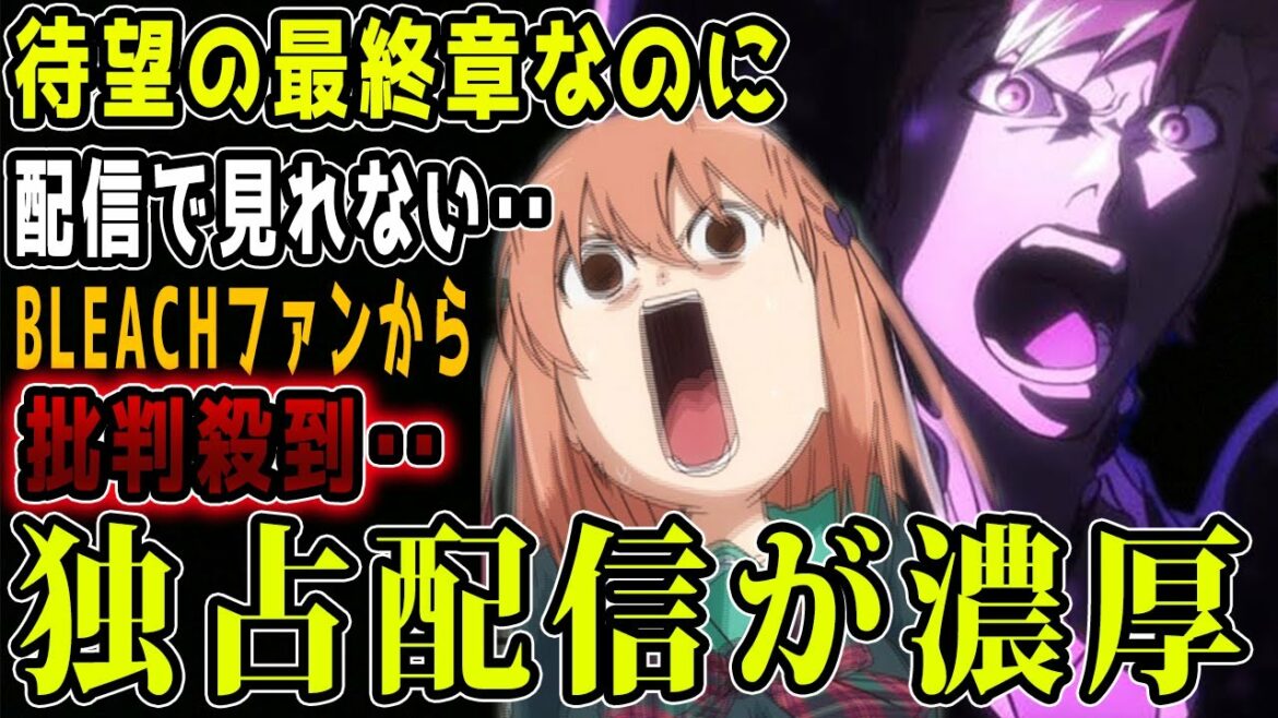 絶望の新情報‥ブリーチのアニメ最終章が独占配信の可能性が濃厚になり批判殺到‥【BLEACH 千年血戦編】