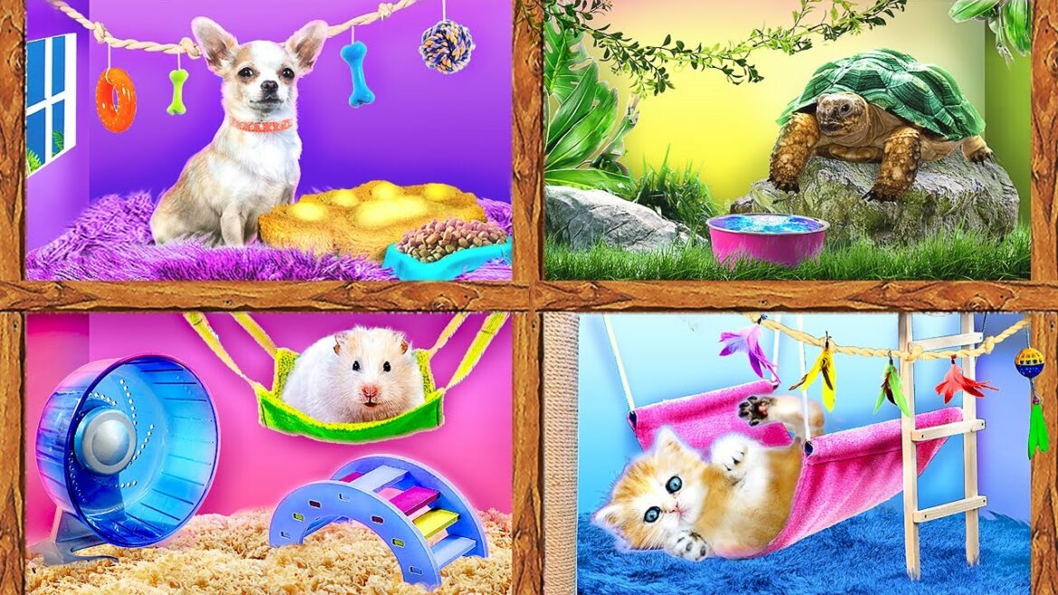 私たちはペットのための秘密の部屋を建てます!ペットショップを買ってみた