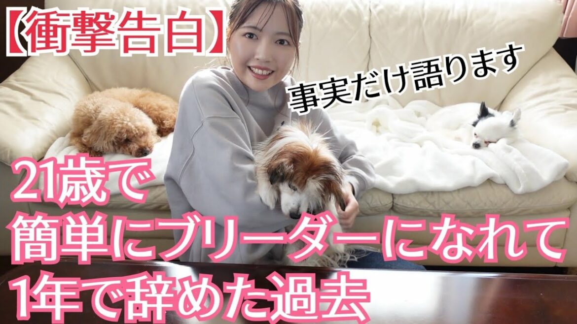 【衝撃告白】実は私ブリーダーでした | 元ブリーダーが語るブリーダーへのなり方・体験談・問題点 | 事実だけ語ります