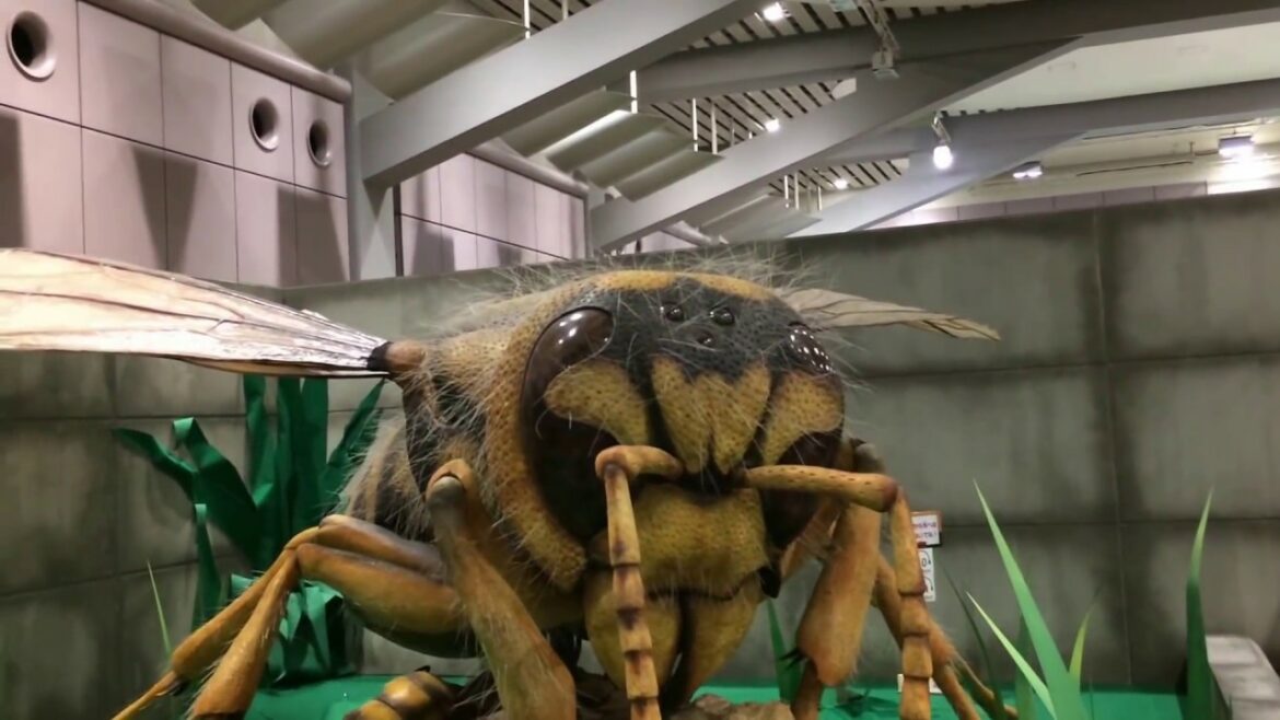 【The huge insect world 】巨大昆虫ワールド