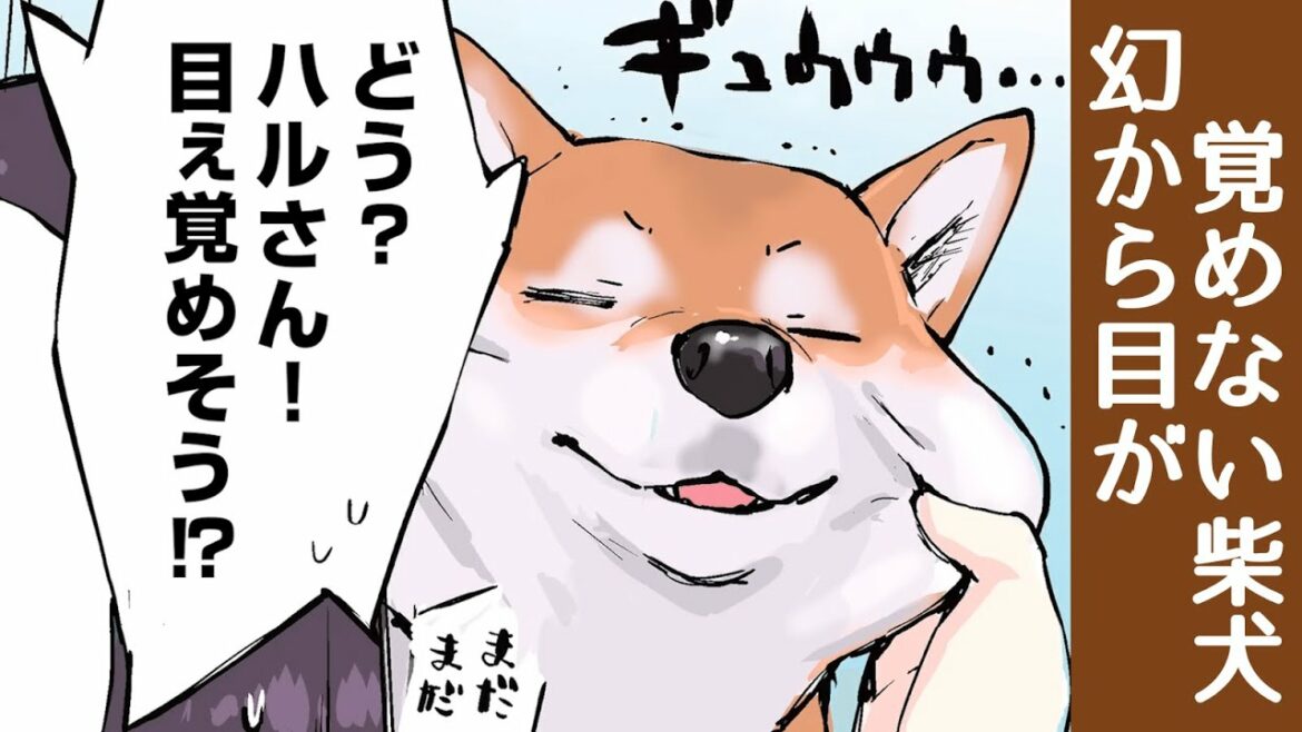 『世界の終わりに柴犬と』第13話 その2【アニメ】【漫画】【切り抜き】