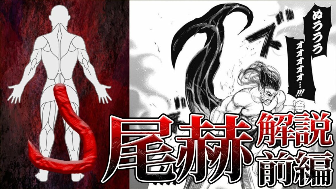 【東京喰種】バランス型?地味な赫子?尾赫の喰種をゆっくり解説【ゆっくり漫画解説】