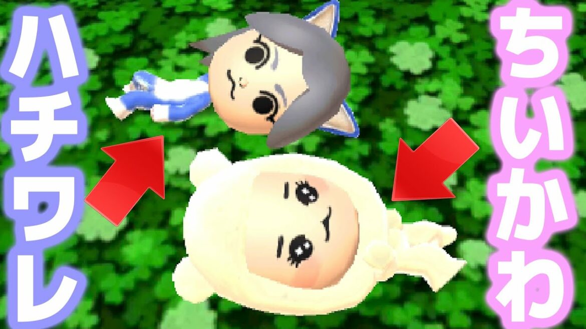 ちいかわのハチワレすら恋愛対象だよ、俺は。【トモダチコレクション新生活】