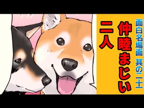 【世界の終わりに柴犬と】切り抜き編集  # 21 幼なじみ《久しぶりは嬉しいが?》  #世界の終わりに柴犬と #柴犬 #アニメ