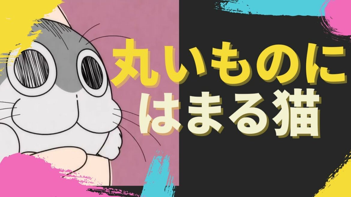 夜は猫といっしょ まったり#10 猫ってついつい丸いものにはまりませんか 【さくっと見れるショートアニメ】