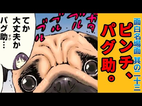 【世界の終わりに柴犬と】切り抜き編集  # 23 犬と雷/未解《母性本能をくすぐられます。》  #世界の終わりに柴犬と #柴犬 #アニメ