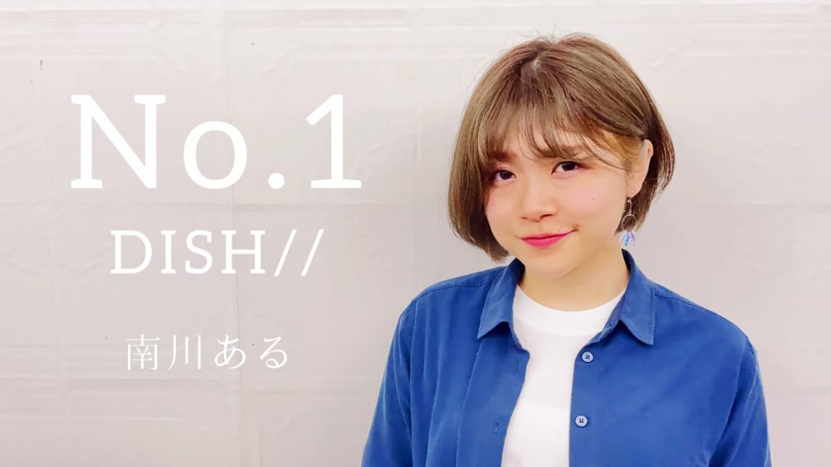 【女性が歌う】【フル歌詞付き】DISH// / No. 1 (+4) TVアニメ「僕のヒーローアカデミア 第5期 第1クール」オープニング (covered by 南川ある)