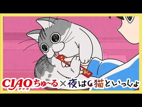 アニメ『夜は猫といっしょ』×CIAOちゅ~る【コラボCM公開!!】