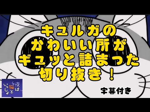 夜は猫といっしょ 【キュルガのかわいい所を切り抜き!No1.字幕付】 #夜は猫といっしょ #キュルガ #yoruneko きゅるきゅる非公式