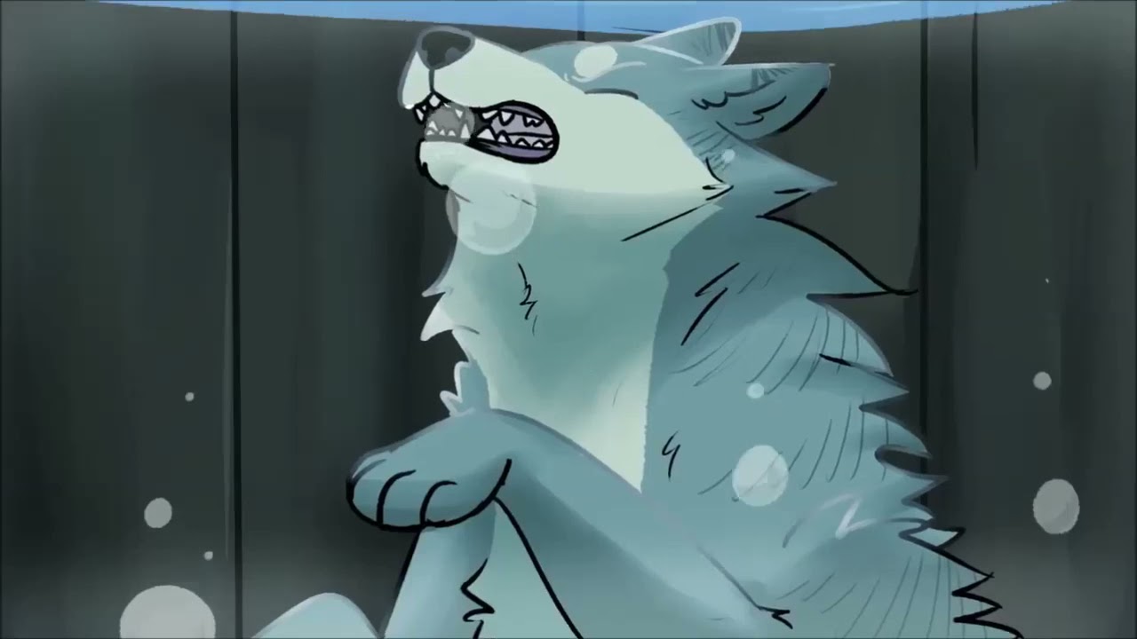 銀河伝説ウィードと銀河流れ星ジン AMV センチュリー (リロード) Anime WACOCA JAPAN People, Life