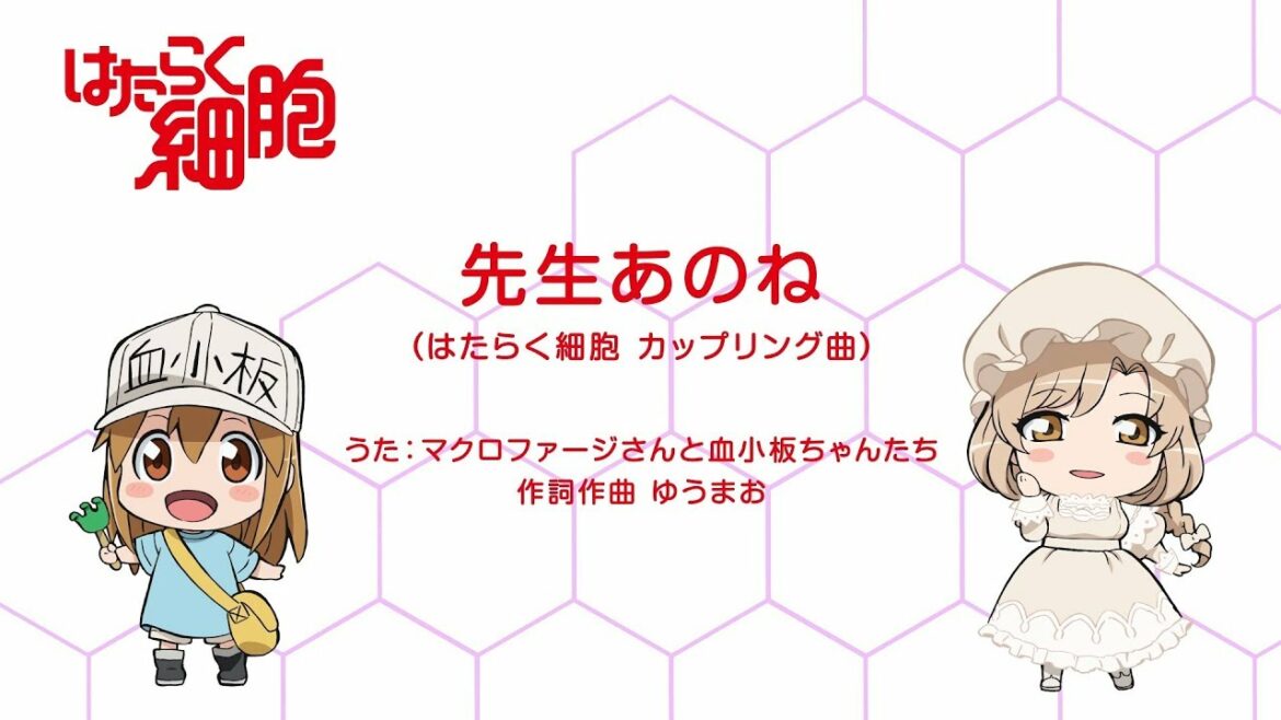 【公式】「先生あのね」試聴映像~ニコ生スペシャルVer.~ | 8月22日発売!!