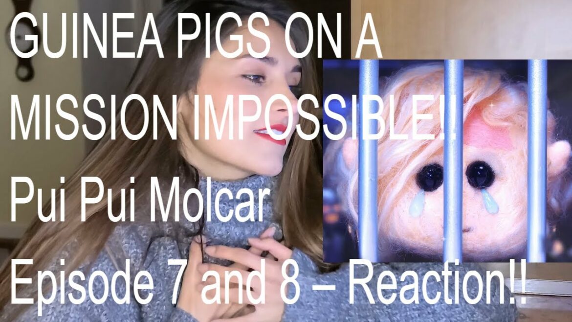 GUINEA PIGS ON A MISSION IMPOSSIBLE!! Pui Pui Molcar | Episode 7 and 8 – Reaction!! PUI PUI モルカー