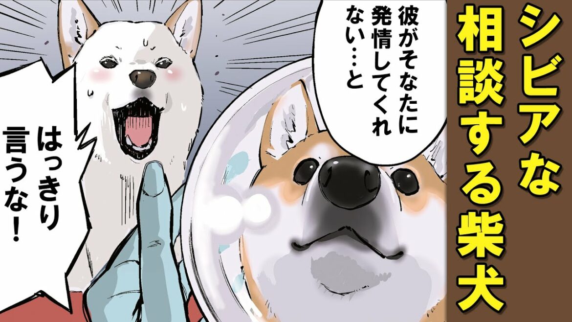 相談内容がだいぶややこしい柴犬【アニメ】【漫画】