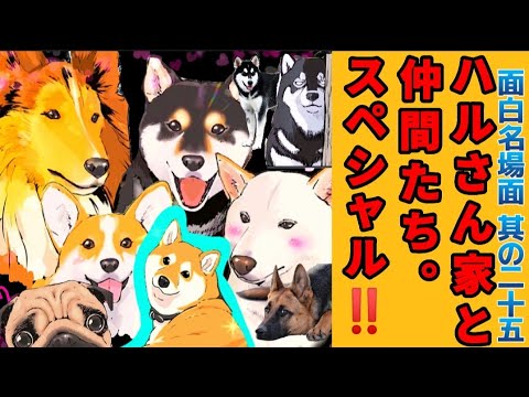 【世界の終わりに柴犬と】切り抜き編集  # 25 ハルさん家と仲間たち。🐶わんちゃんスペシャル!!《にぎやかですね。》  #世界の終わりに柴犬と #柴犬  #アニメ