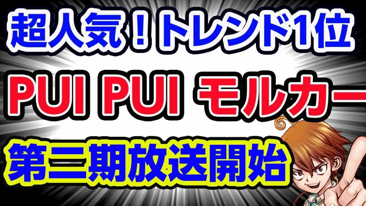【超人気】【Twitterトレンド1位】PUI PUIモルカー DRIVING SCHOOL第二期開始!人気商品ランキングも #puipuiモルカー  #drivingschool