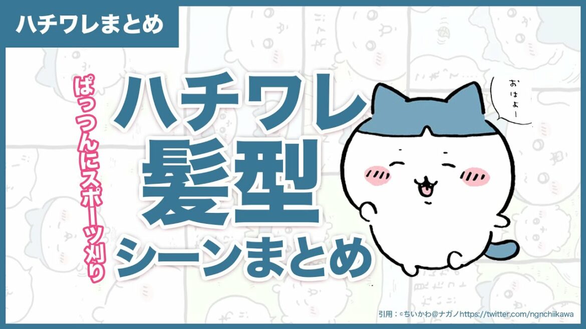 【ハチワレまとめ】髪型変化エピソード総集編【ちいかわ解説】#ちいかわ