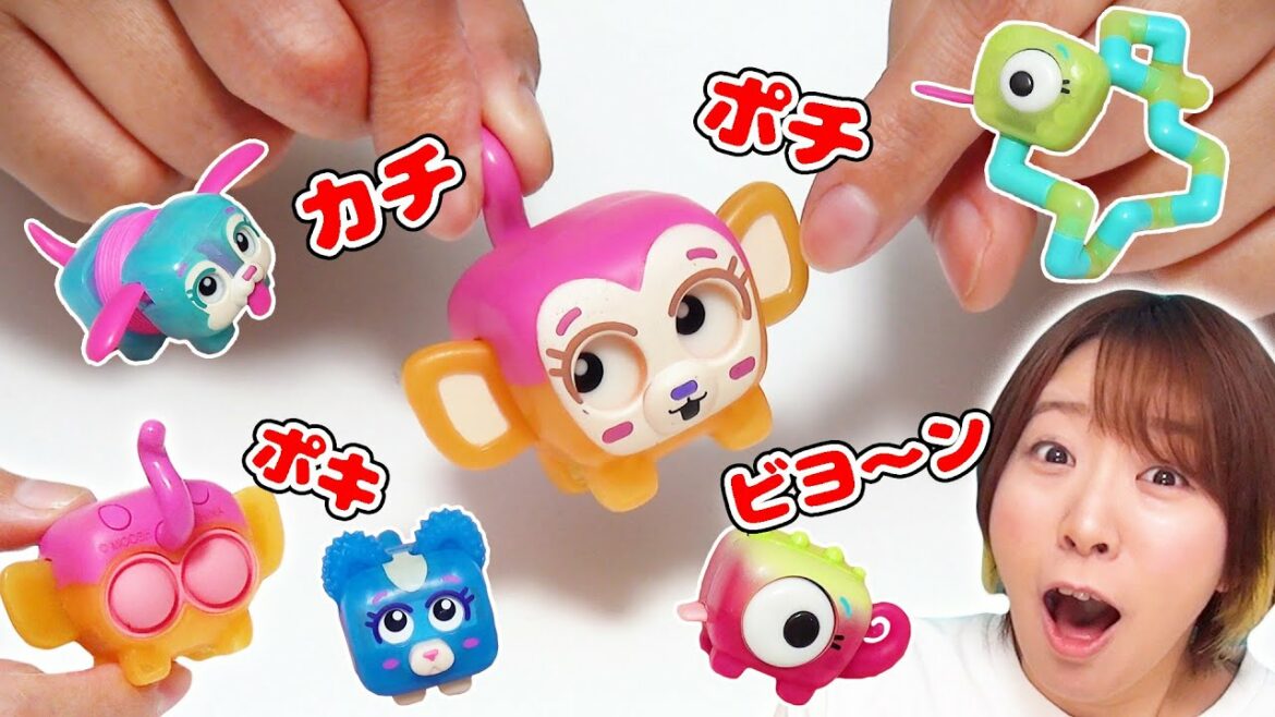 カチ♪ポキ♪あちこち押せる!? 海外の無限系ペットが気持ち良すぎた…【プッシュポップ ポップチューブ】