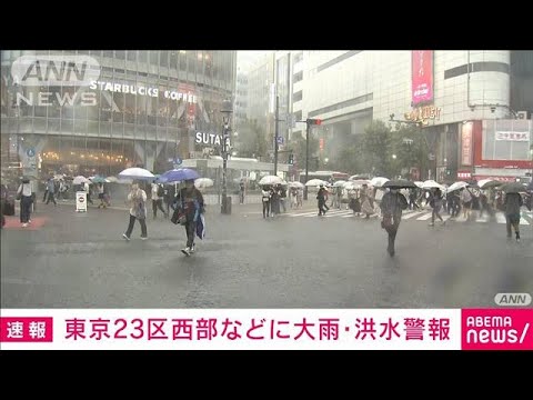 【速報】東京23区西部と多摩北部に大雨警報と洪水警報 杉並区で3560軒が停電(2022年9月24日)
