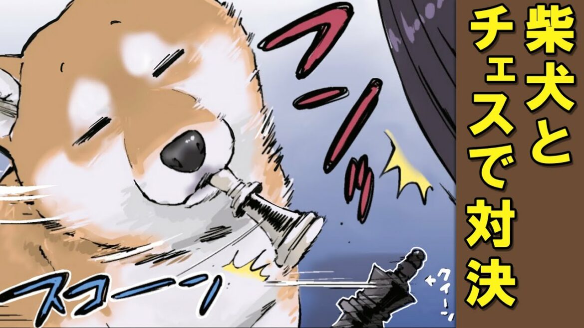 柴犬のチェスの指し方がウザい【アニメ】【漫画】