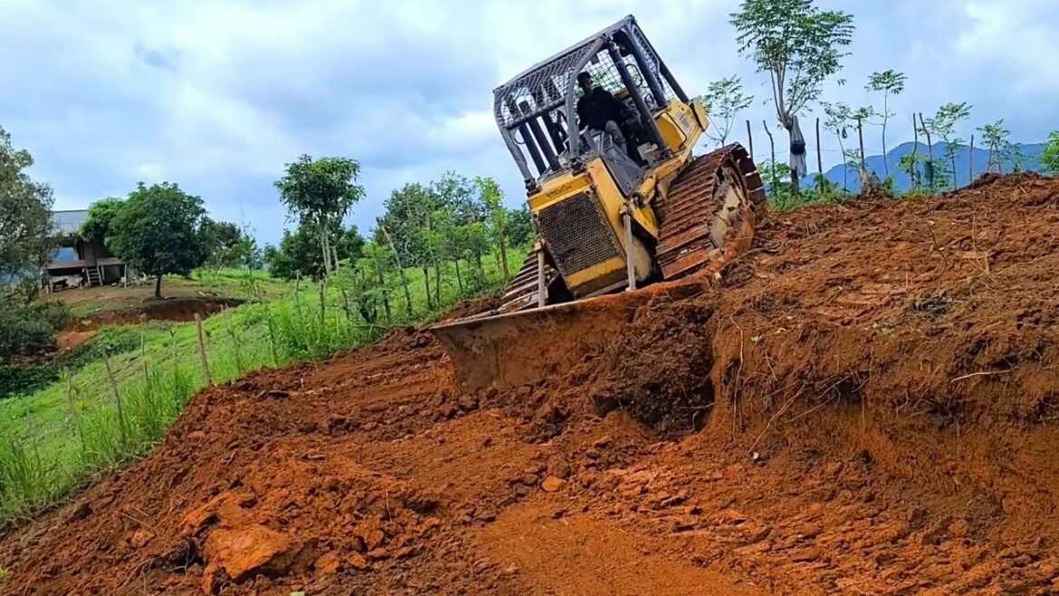 Heavy Equipment Bulldozer Working Road in The Woods