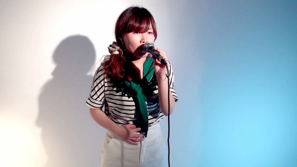 Fine On The Outside / プリシラ・アーン (思い出のマーニー 主題歌)  Cover SaKy