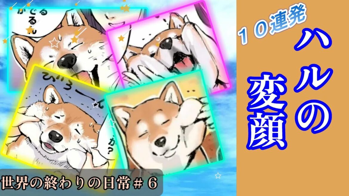 ハルの変顔10連発 世界の終わりの日常#6【世界の終わりに柴犬と】【アニメ】【漫画】