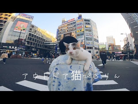 お出かけ猫ぴろりん!!池袋ロケ地名所を初散歩!IWGPデュラララ!!