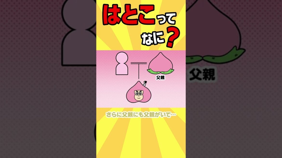 【江口拓也】はとこって何?【アニメ】#shorts